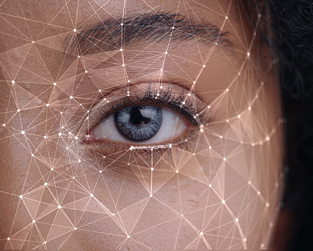 Biometric identity facial recognition